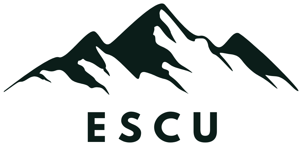 Everest Super Chemical Udhyog logo